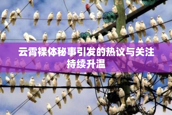 云霄裸体秘事引发的热议与关注持续升温