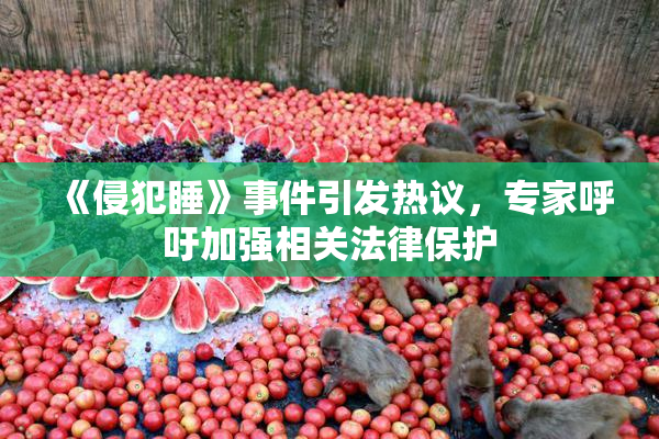 《侵犯睡》事件引发热议，专家呼吁加强相关法律保护