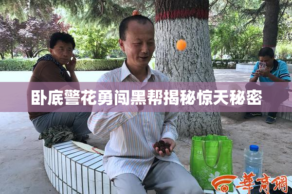 卧底警花勇闯黑帮揭秘惊天秘密