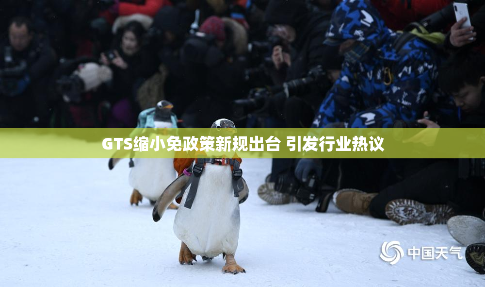 GTS缩小免政策新规出台 引发行业热议