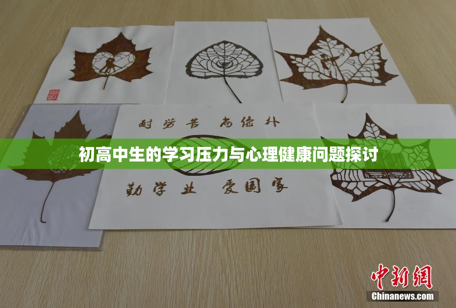 初高中生的学习压力与心理健康问题探讨