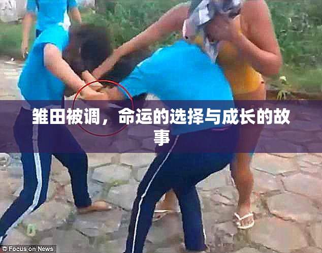 雏田被调，命运的选择与成长的故事