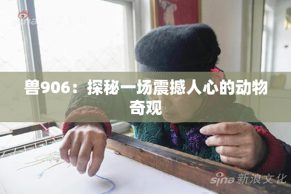 兽906：探秘一场震撼人心的动物奇观