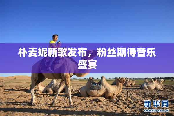 朴麦妮新歌发布，粉丝期待音乐盛宴
