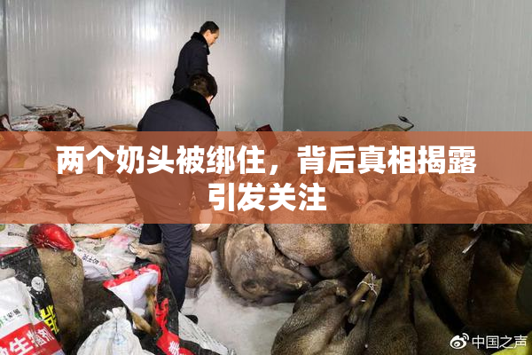 两个奶头被绑住，背后真相揭露引发关注