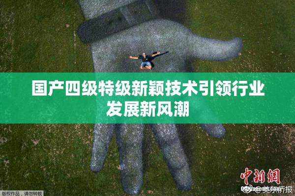 国产四级特级新颖技术引领行业发展新风潮