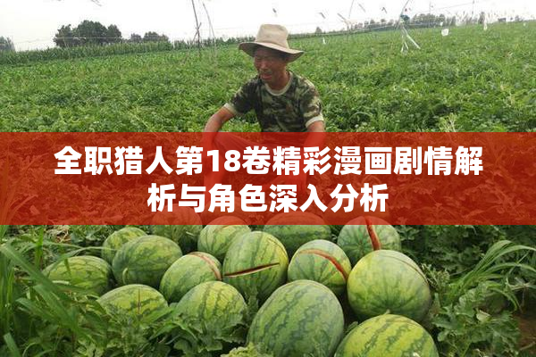 全职猎人第18卷精彩漫画剧情解析与角色深入分析