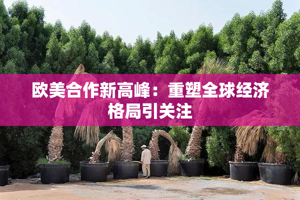 欧美合作新高峰：重塑全球经济格局引关注