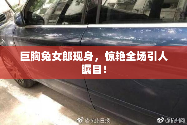巨胸兔女郎现身，惊艳全场引人瞩目！