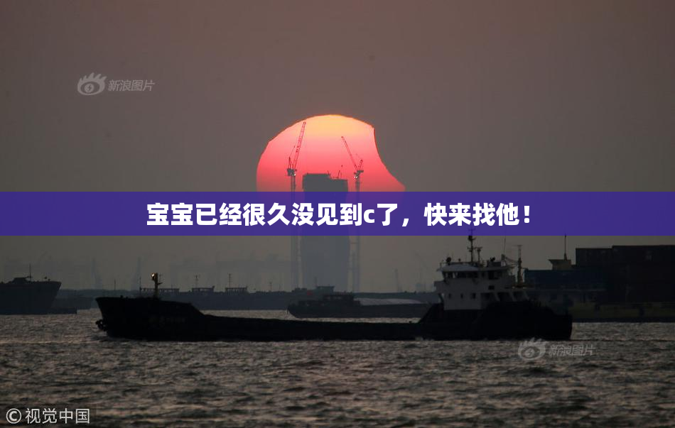 宝宝已经很久没见到c了，快来找他！