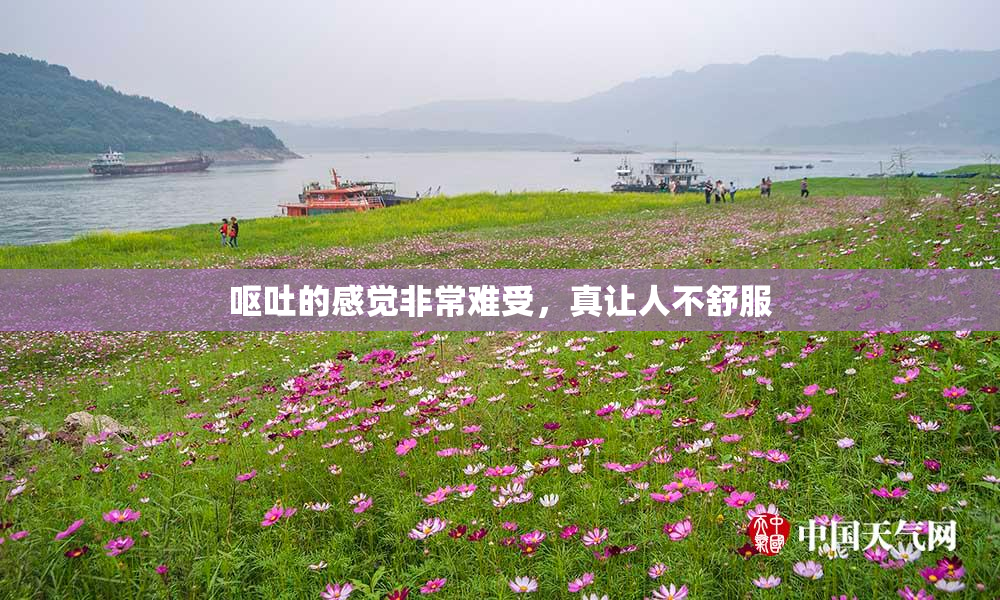 呕吐的感觉非常难受，真让人不舒服