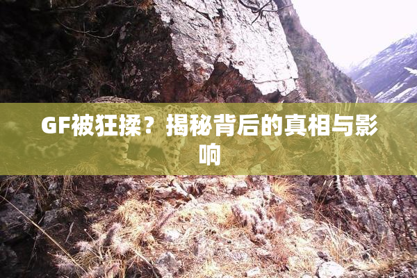 GF被狂揉？揭秘背后的真相与影响