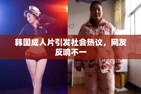 韩国成人片引发社会热议，网友反响不一