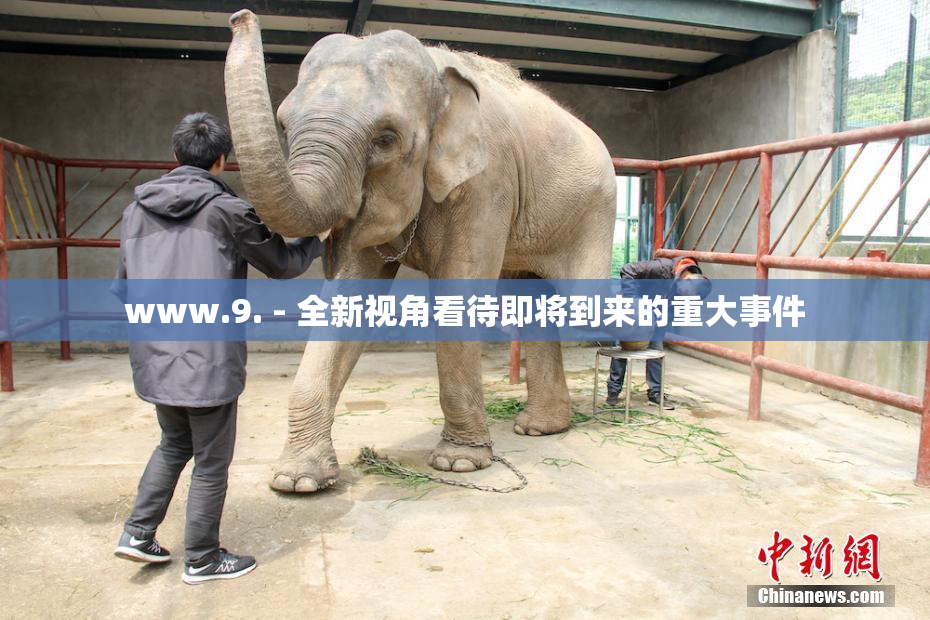 www.9. - 全新视角看待即将到来的重大事件