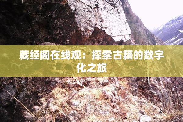 藏经阁在线观：探索古籍的数字化之旅