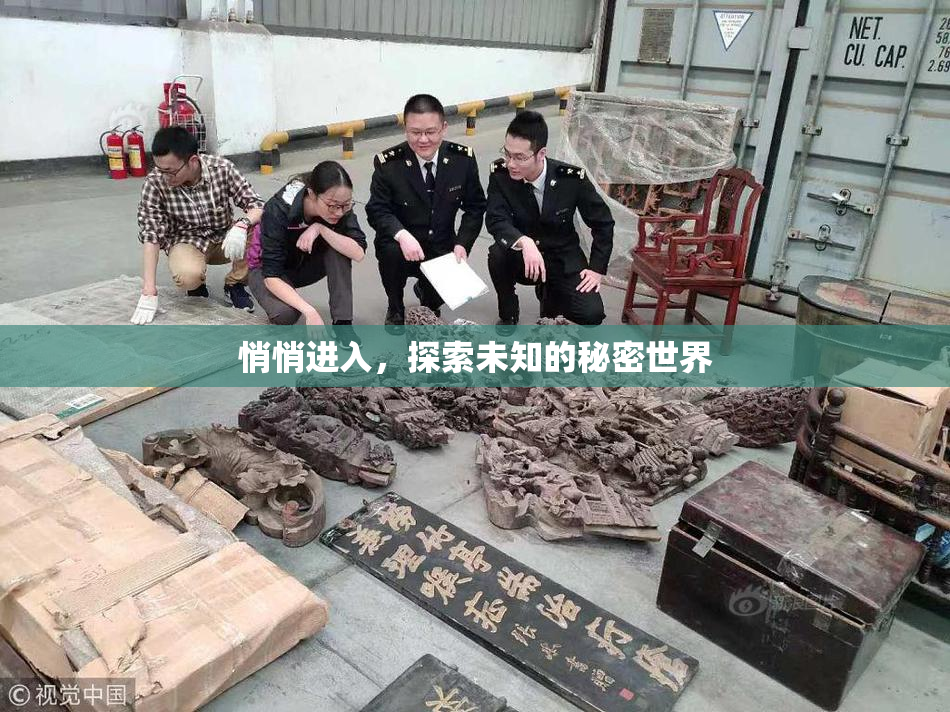悄悄进入，探索未知的秘密世界
