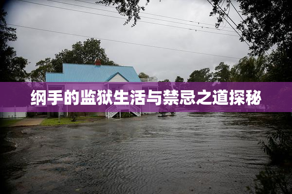 纲手的监狱生活与禁忌之道探秘