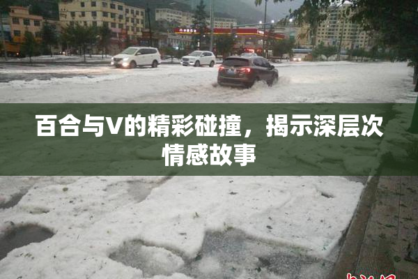百合与V的精彩碰撞，揭示深层次情感故事