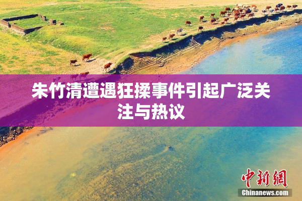 朱竹清遭遇狂揉事件引起广泛关注与热议