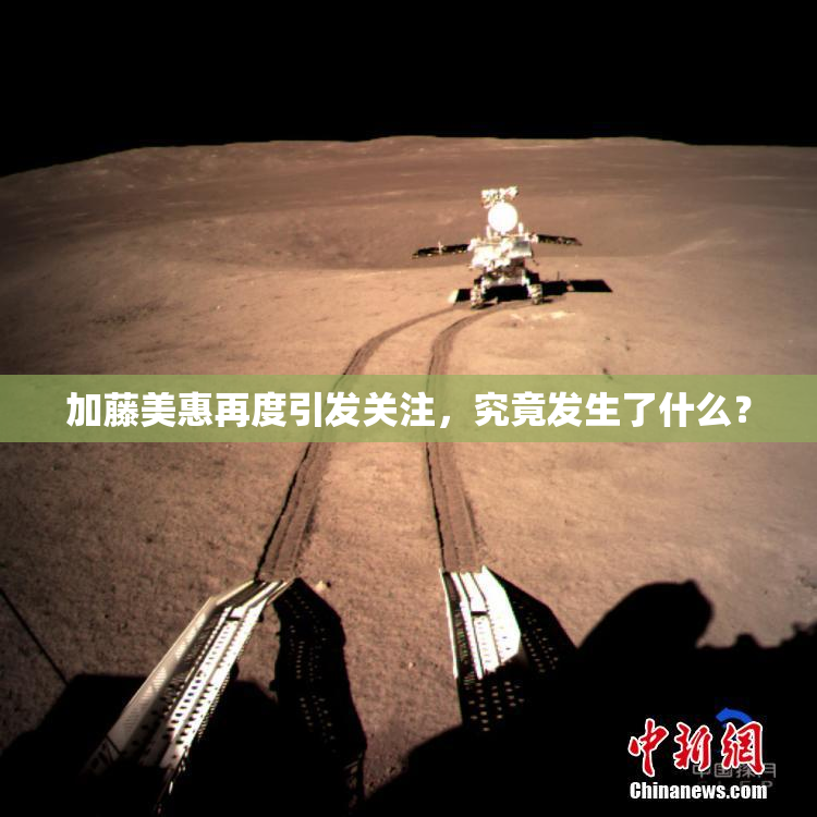 加藤美惠再度引发关注，究竟发生了什么？