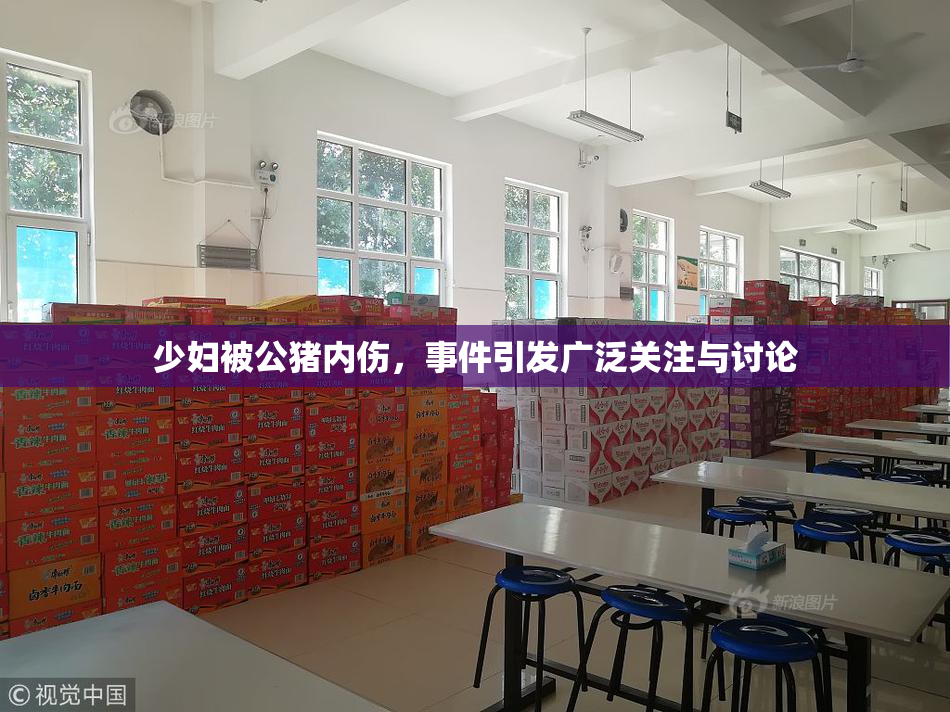 少妇被公猪内伤，事件引发广泛关注与讨论