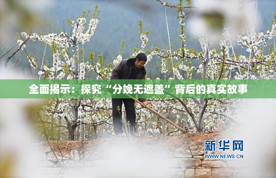 全面揭示：探究“分娩无遮盖”背后的真实故事