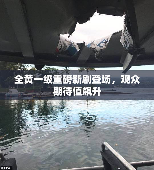 全黄一级重磅新剧登场，观众期待值飙升
