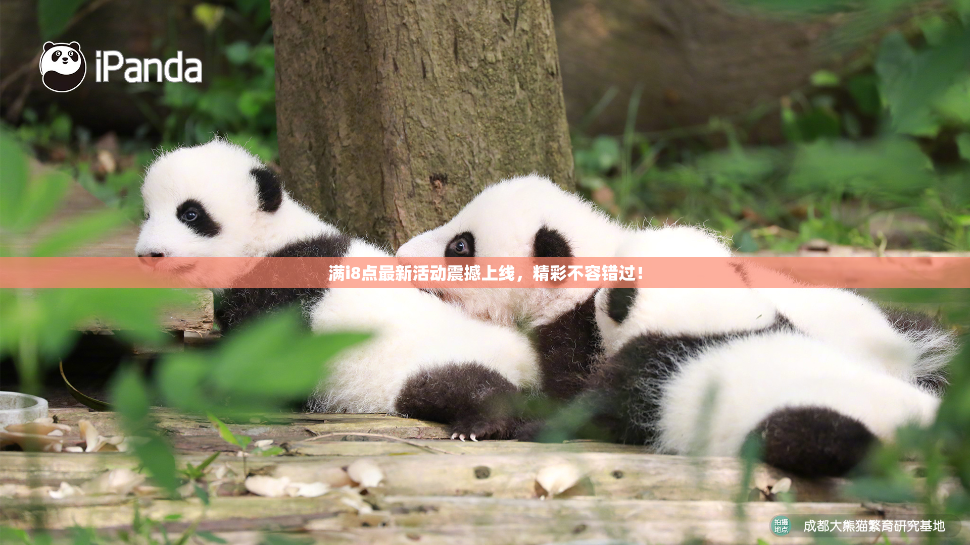 满i8点最新活动震撼上线，精彩不容错过！