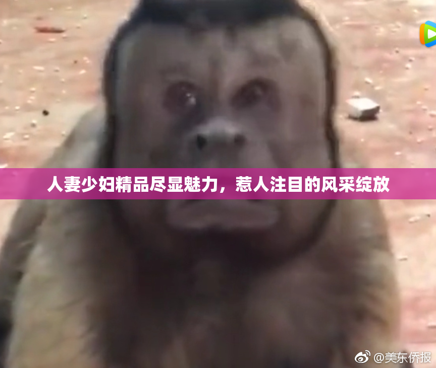 人妻少妇精品尽显魅力，惹人注目的风采绽放