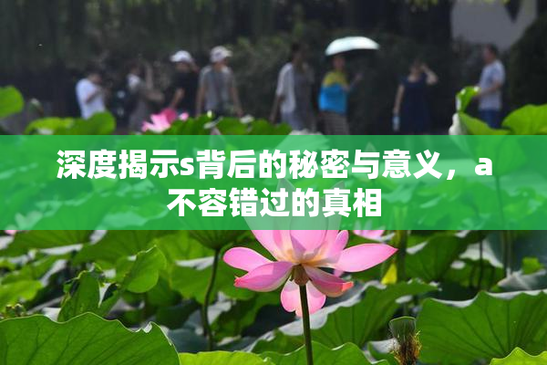 深度揭示s背后的秘密与意义，a不容错过的真相