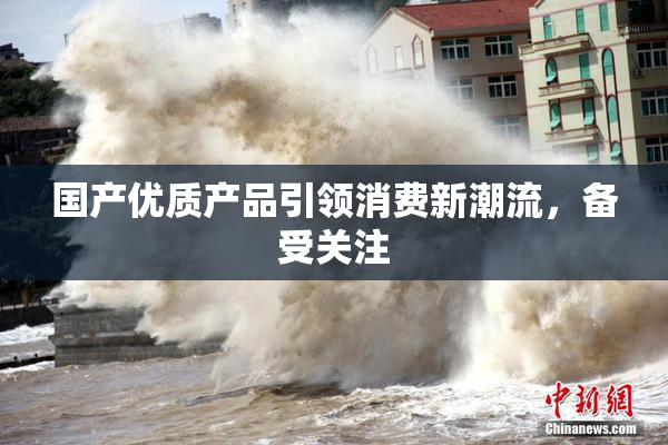 国产优质产品引领消费新潮流，备受关注