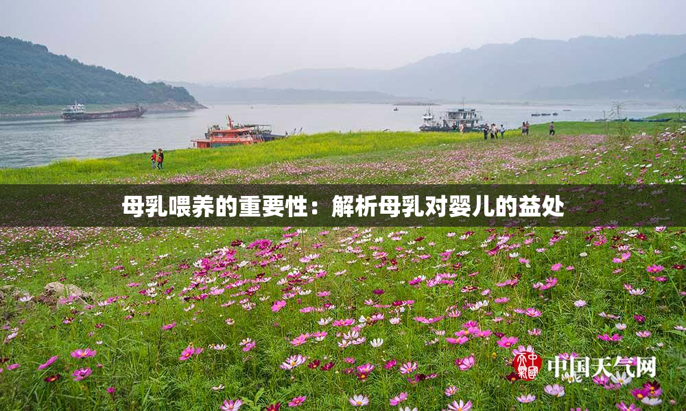 母乳喂养的重要性：解析母乳对婴儿的益处