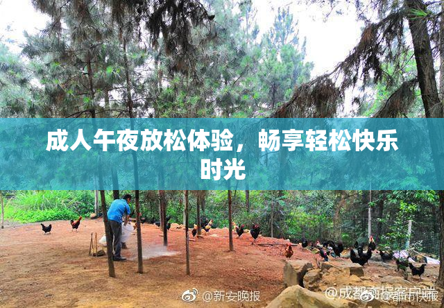 成人午夜放松体验，畅享轻松快乐时光