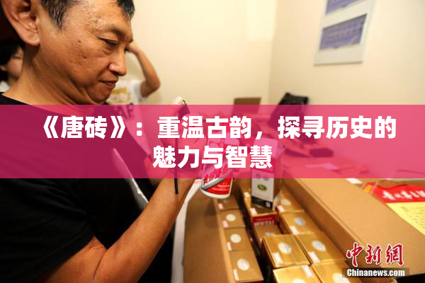 《唐砖》：重温古韵，探寻历史的魅力与智慧