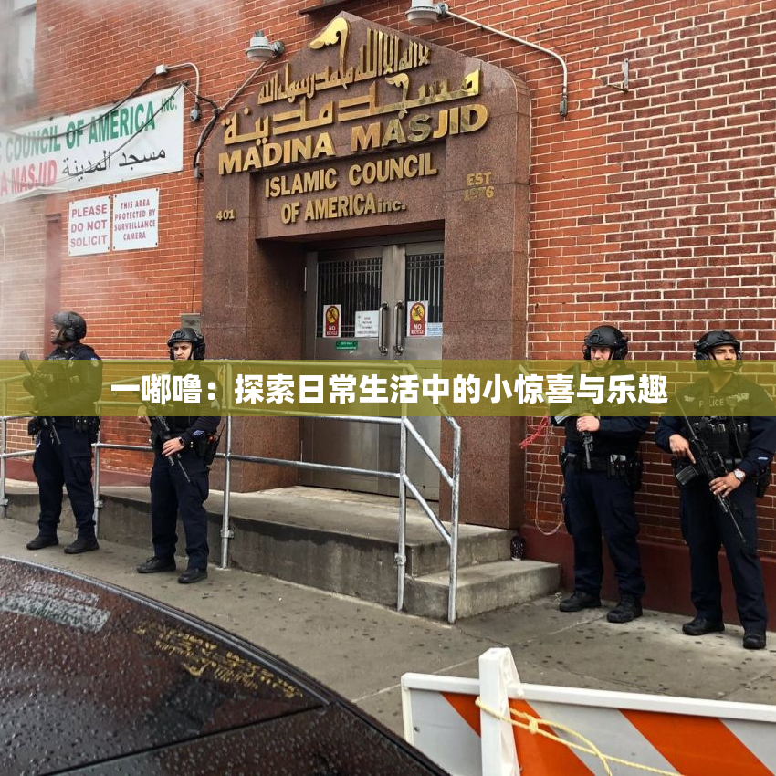 一嘟噜：探索日常生活中的小惊喜与乐趣