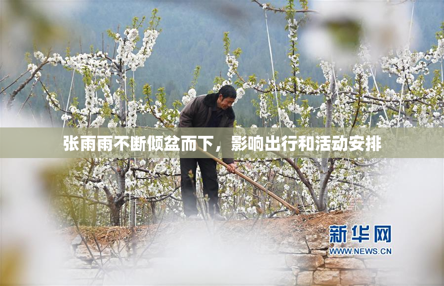 张雨雨不断倾盆而下，影响出行和活动安排