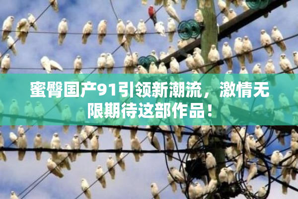 蜜臀国产91引领新潮流，激情无限期待这部作品！