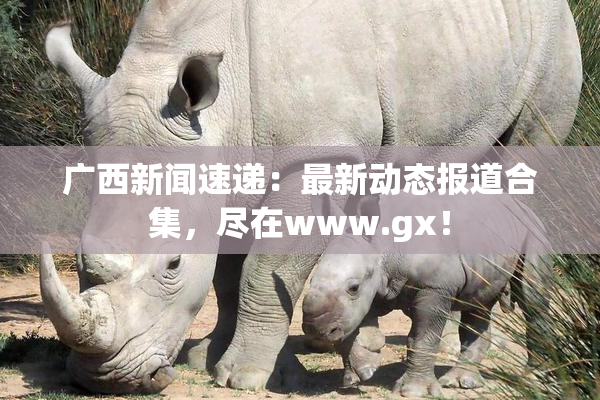 广西新闻速递：最新动态报道合集，尽在www.gx！