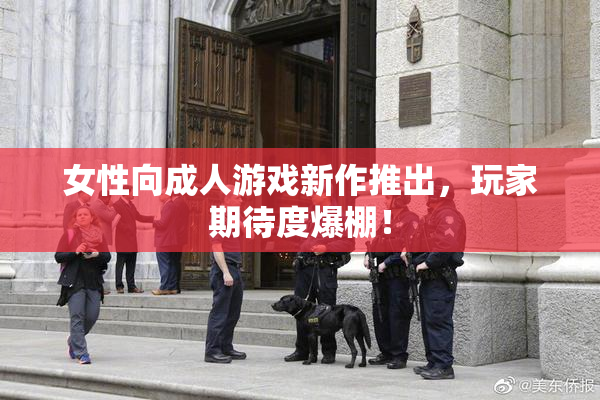 女性向成人游戏新作推出，玩家期待度爆棚！