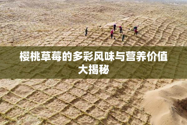 樱桃草莓的多彩风味与营养价值大揭秘