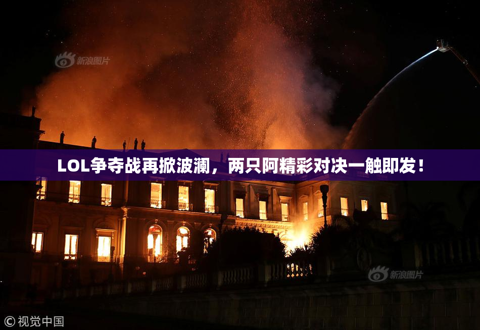 LOL争夺战再掀波澜，两只阿精彩对决一触即发！