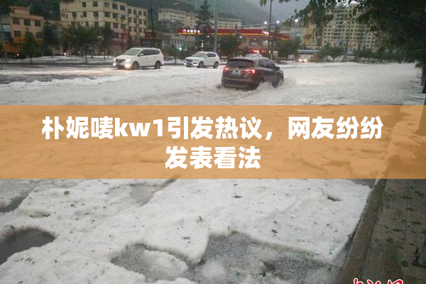 朴妮唛kw1引发热议，网友纷纷发表看法