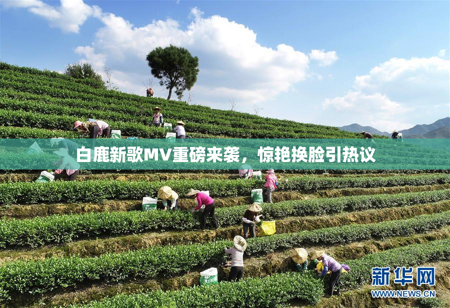 白鹿新歌MV重磅来袭，惊艳换脸引热议