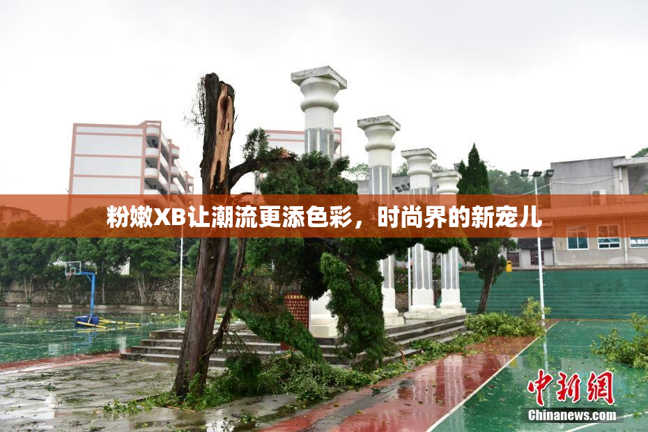 粉嫩XB让潮流更添色彩，时尚界的新宠儿