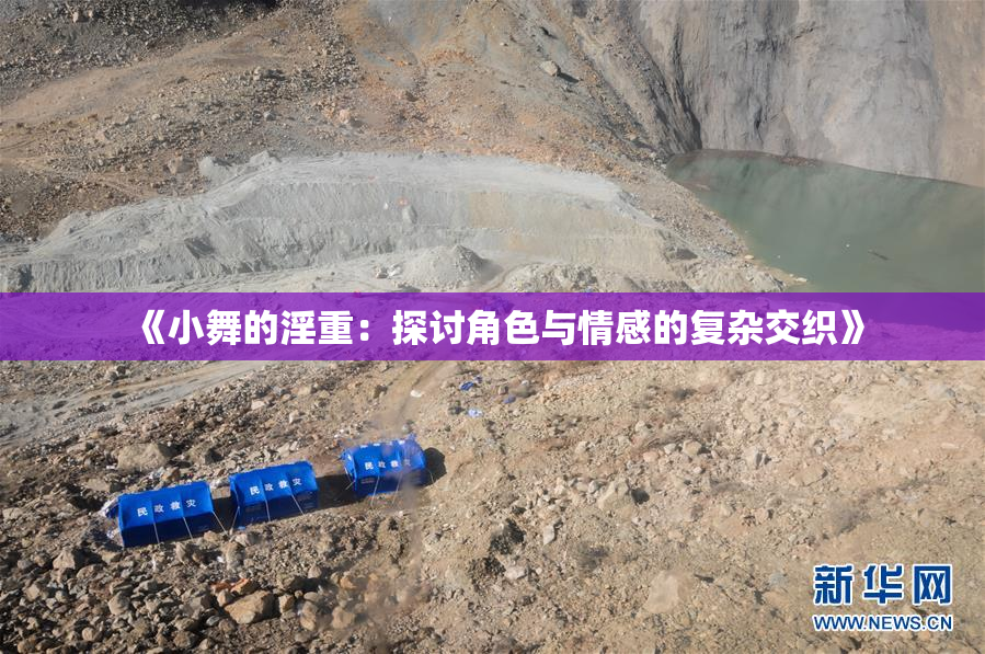 《小舞的淫重：探讨角色与情感的复杂交织》
