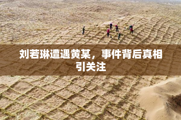 刘若琳遭遇黄某，事件背后真相引关注