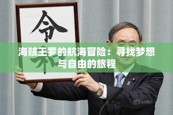 海贼王罗的航海冒险：寻找梦想与自由的旅程