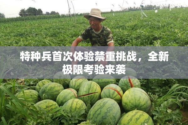 特种兵首次体验禁重挑战，全新极限考验来袭