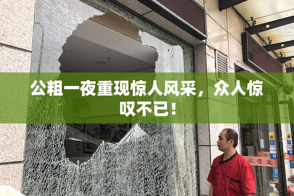 公粗一夜重现惊人风采，众人惊叹不已！