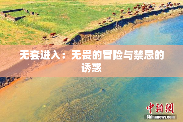无套进入：无畏的冒险与禁忌的诱惑